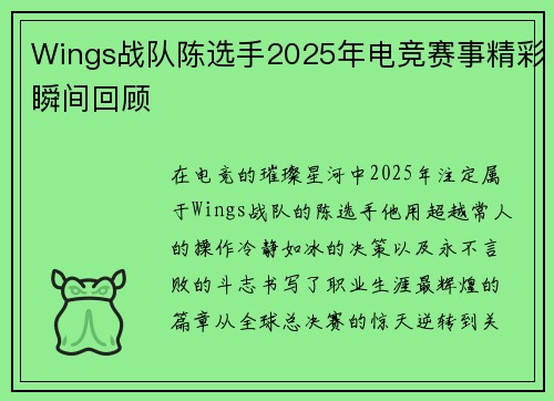 Wings战队陈选手2025年电竞赛事精彩瞬间回顾