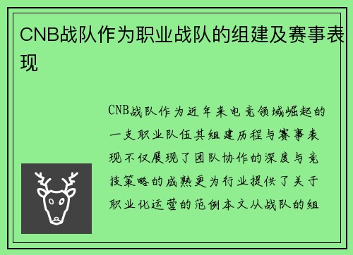 CNB战队作为职业战队的组建及赛事表现